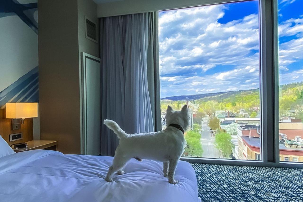 Ithaca Marriott Downtown On The Commons Hotell Exteriör bild